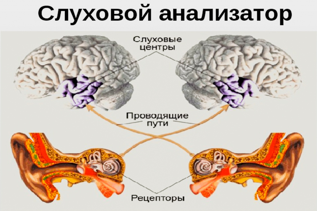 20230906-Без заголовка.jpg 20230906-Без заголовка.jpg