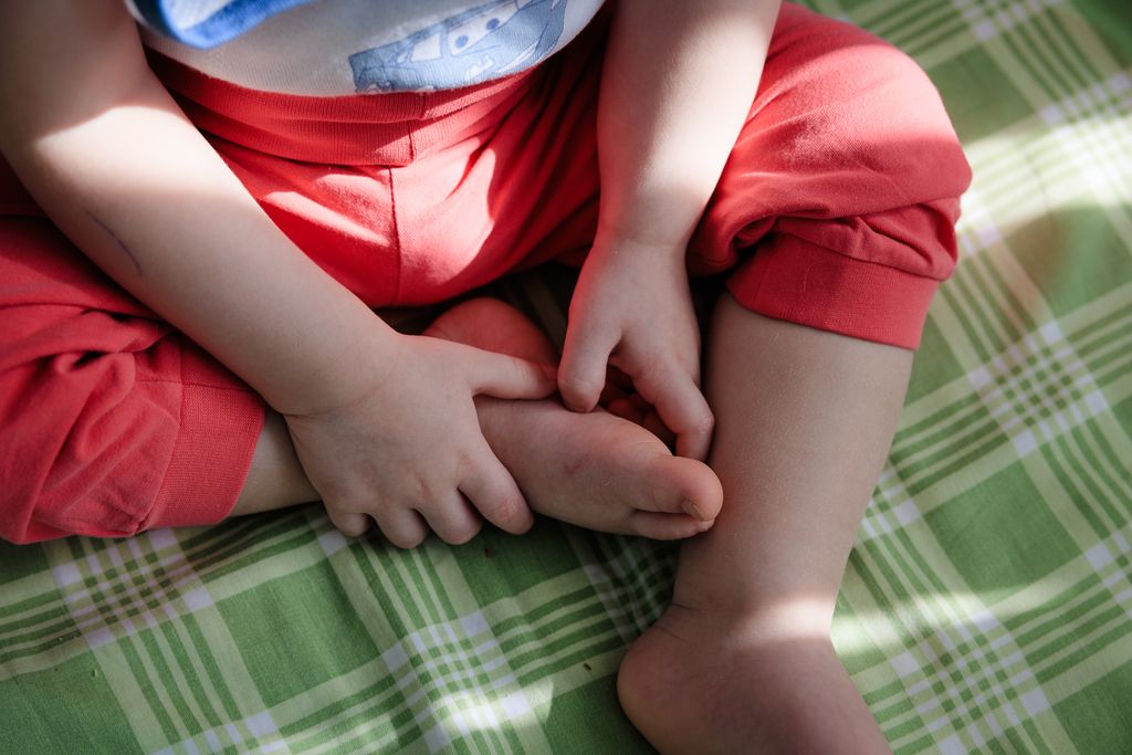 20240527-IMG_3564.jpg 20240527-IMG_3564.jpg