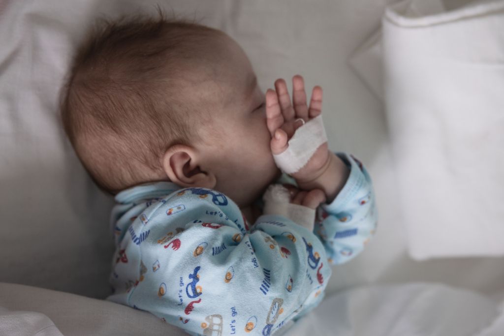 brosh_jan.jpg brosh_jan.jpg