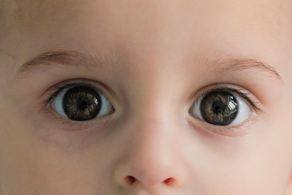 20230706-IMG_0696.jpg 20230706-IMG_0696.jpg