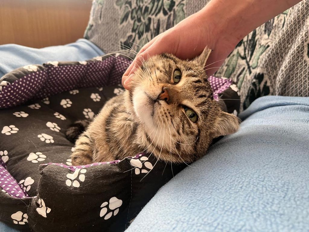 WhatsApp Image 2025-03-07 at 15.36.15.jpeg